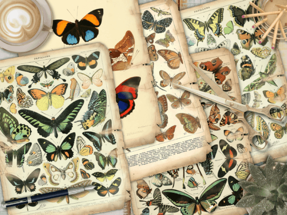 Download Ephemera Paper for Journal - Ephemera paper Collection