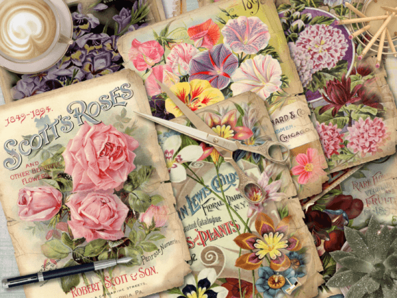 Download Botanical Ephemera Paper for Journal - Ephemera paper Collection